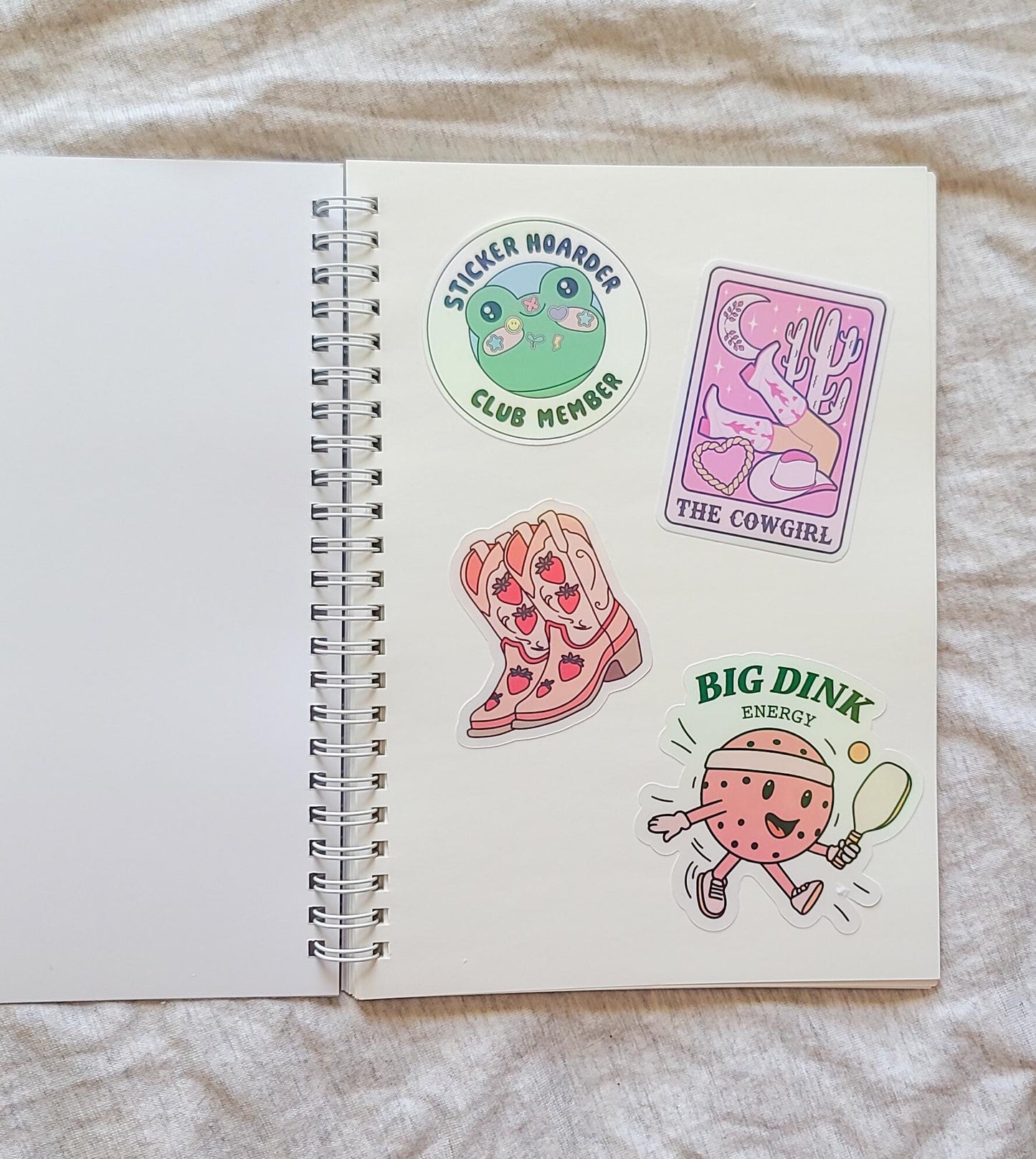Professional Sticker Hoarder Reusable Sticker Book